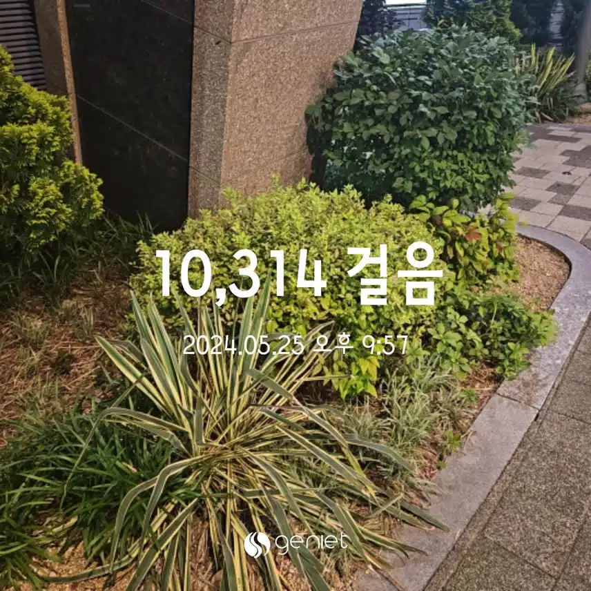 건강한 운동_걷기 ing
