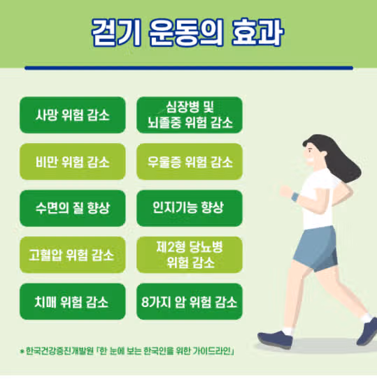 건강한 운동_걷기 ing