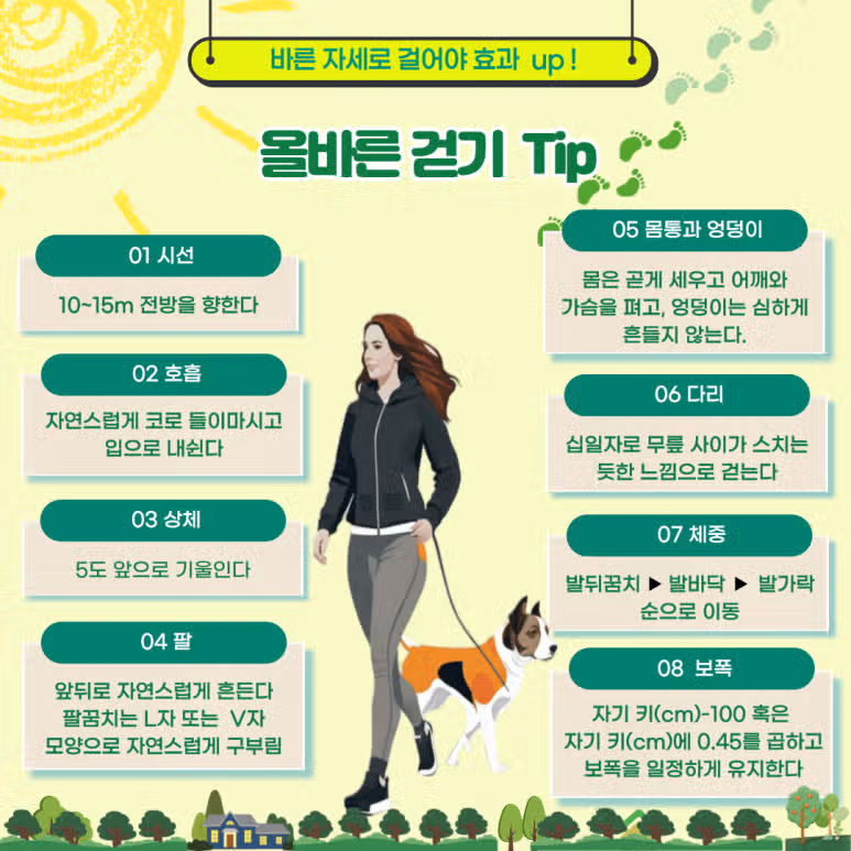 건강한 운동_걷기 ing