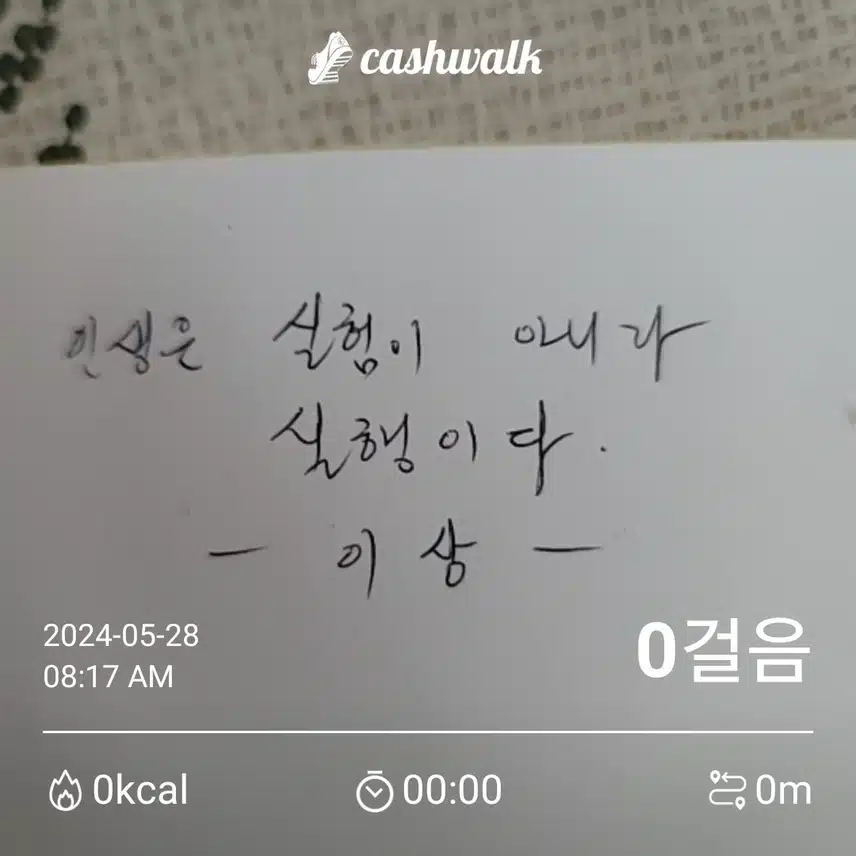 인생