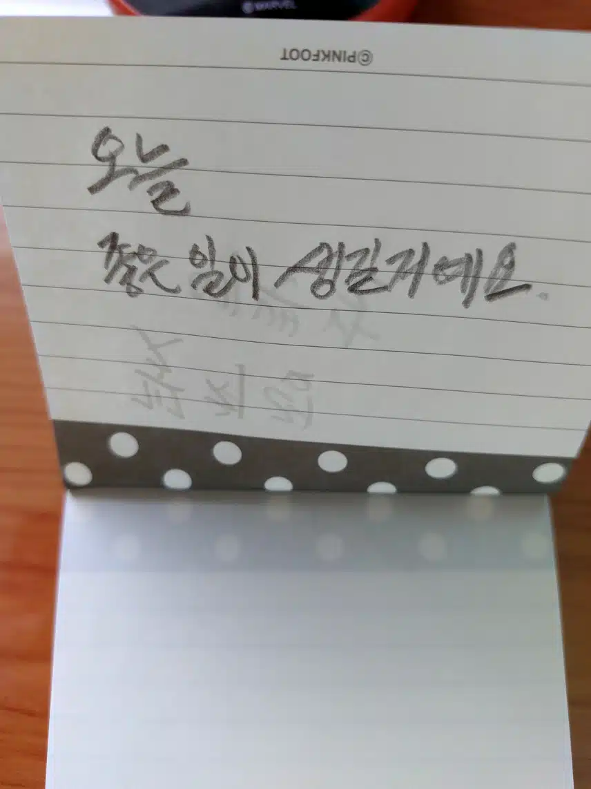 오늘 