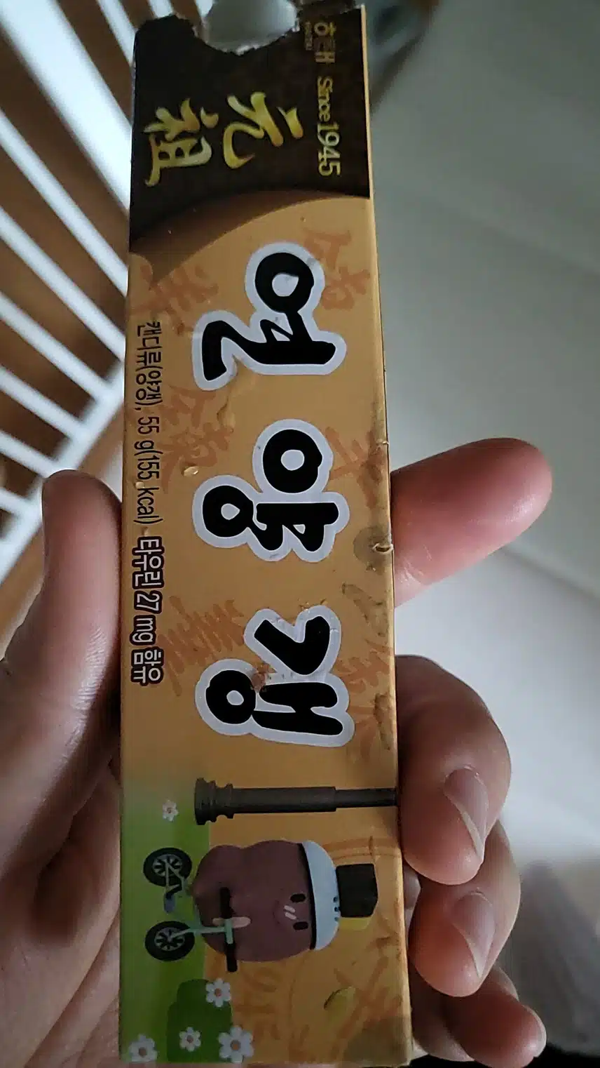 홈트해요