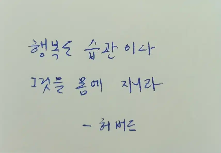 한줄 필사