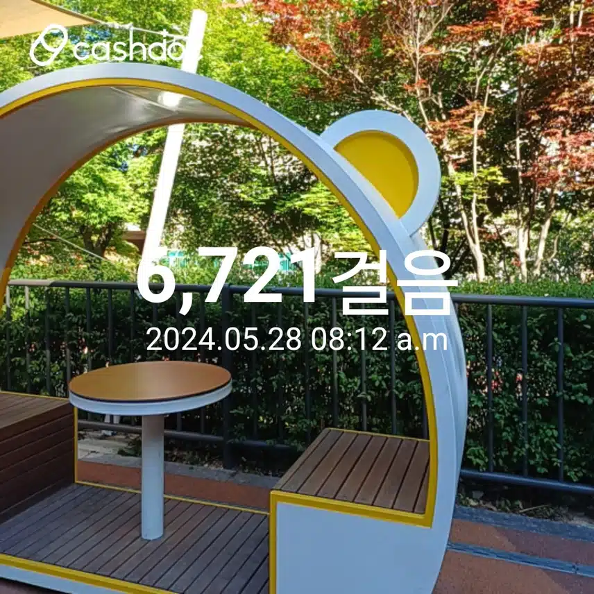 6천보걷기 챌린지 16기 6일차 인증
