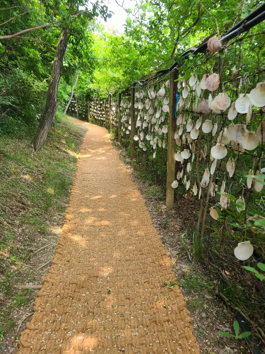 식후 산책을 해요.