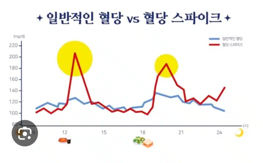 혈당 스파크가 오르지 않게 예방 실천중이예요.