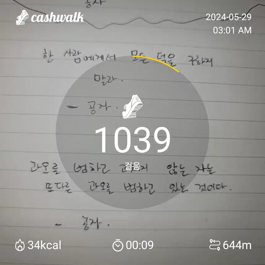 14일차
