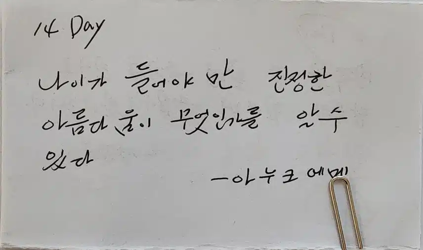 아누쿠 에메