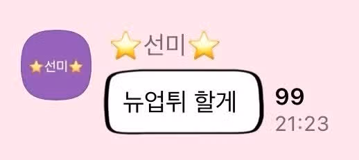 뉴진스 업고 튀고 싶다는 선미.jpg