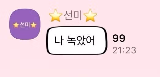뉴진스 업고 튀고 싶다는 선미.jpg
