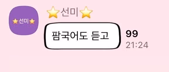 뉴진스 업고 튀고 싶다는 선미.jpg