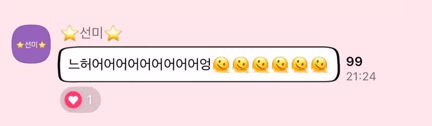 뉴진스 업고 튀고 싶다는 선미.jpg