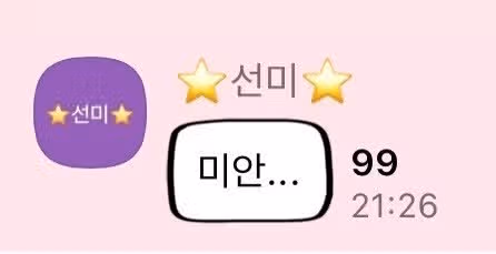 뉴진스 업고 튀고 싶다는 선미.jpg