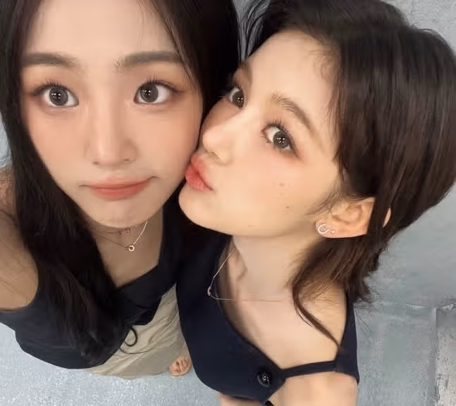 민지 다니엘 조합