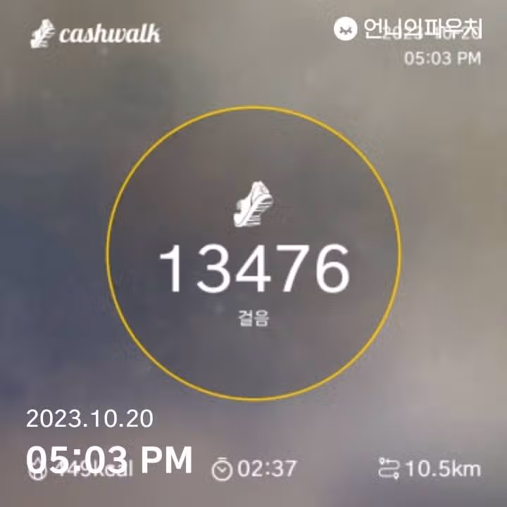 오늘도 만보 달성입니다.