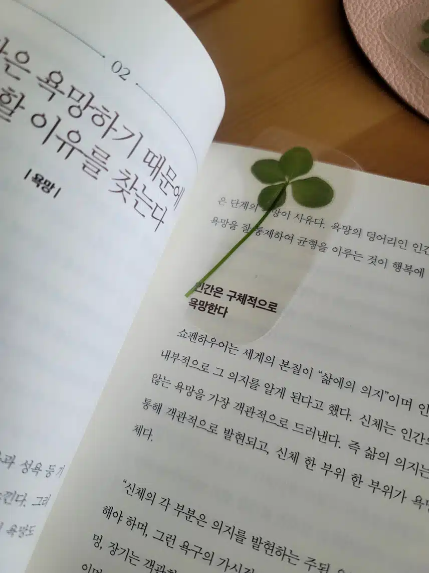 5/30(목)🍀네잎클로버 보세요🍀