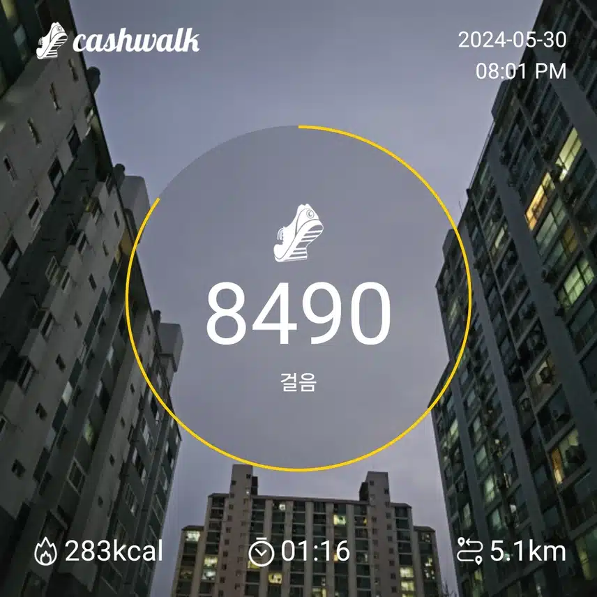 8일차 인증완료