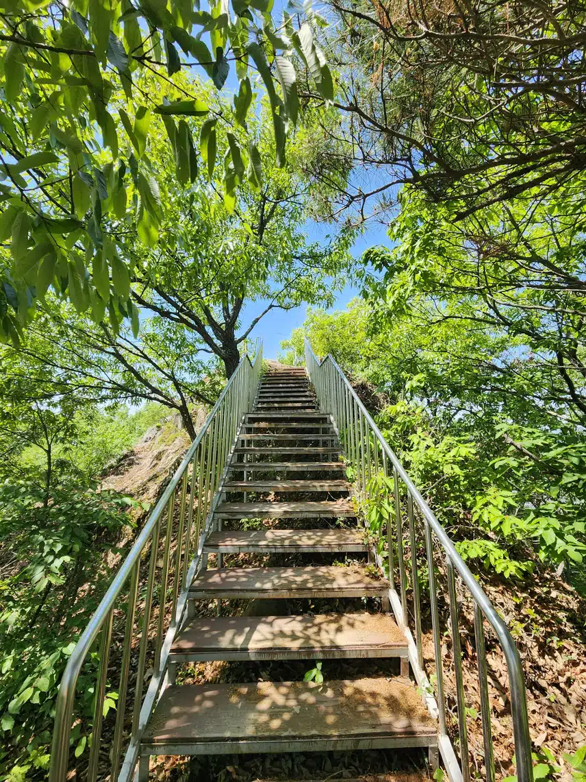 등산