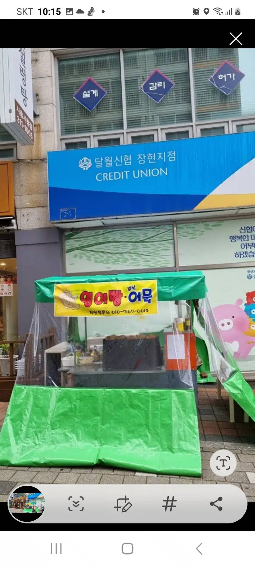 붕세권😍🐟