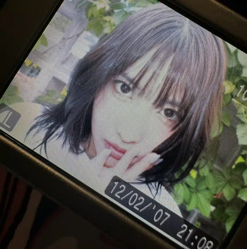 모모 인스타 업뎃 