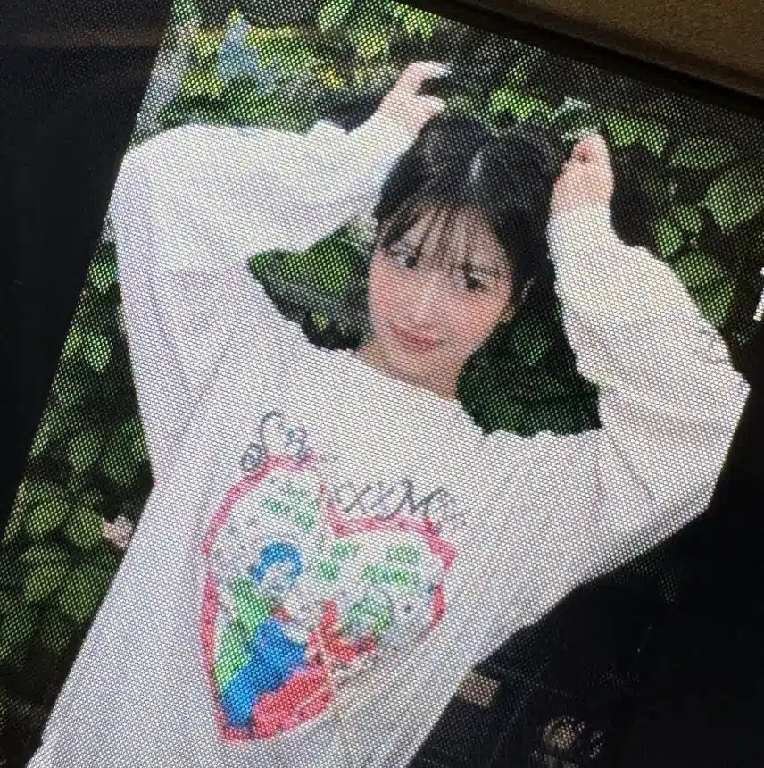 모모 인스타 업뎃 