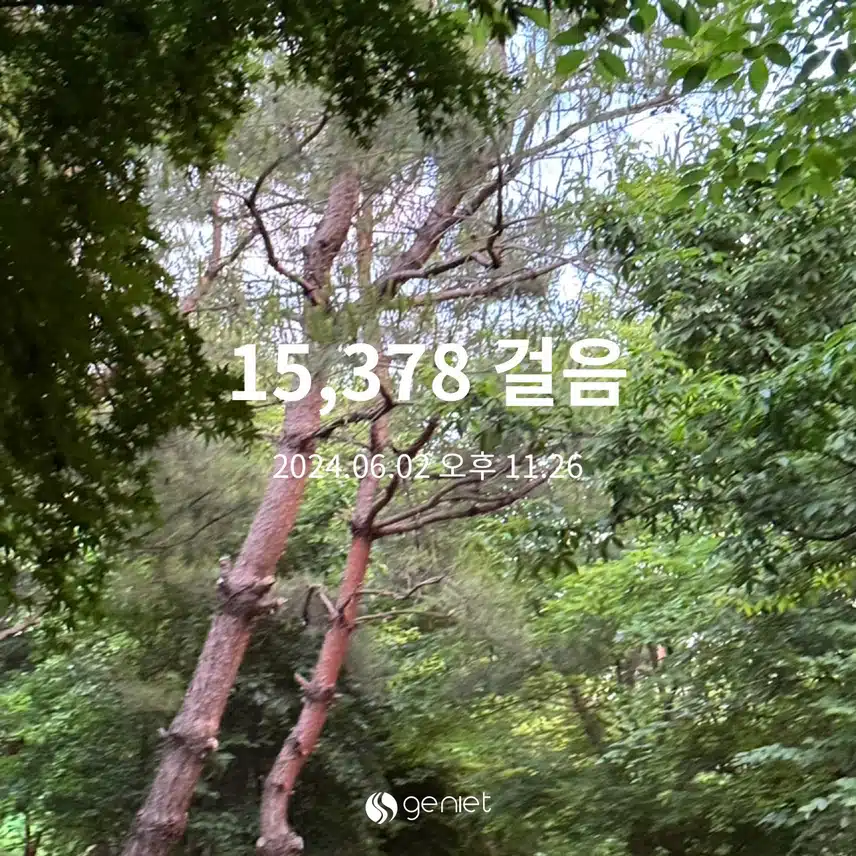 6/2 만보 걷기