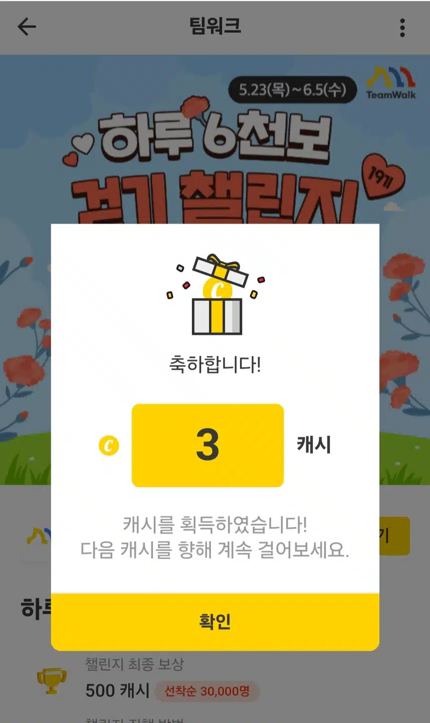 팀워크 하루6천보 캐시