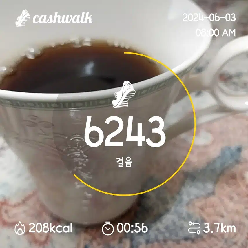 팀워크 6000보 12일차