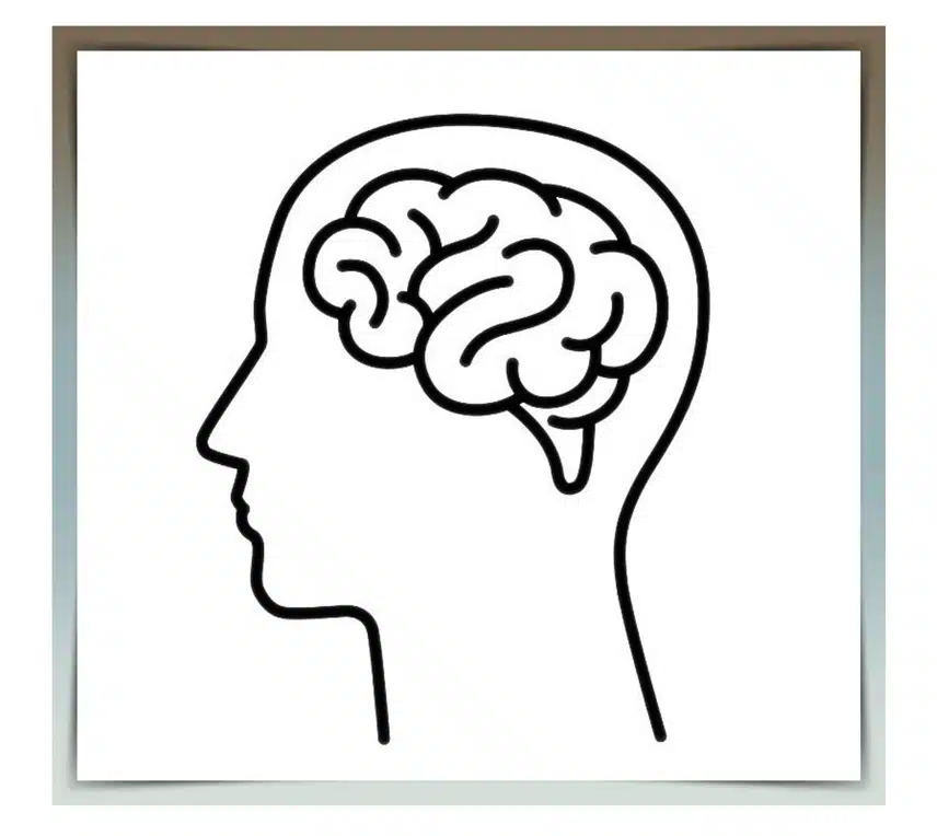 6/3(월)뇌🧠노화를 막는 최고의 방법 5가지만 따라하세요!!