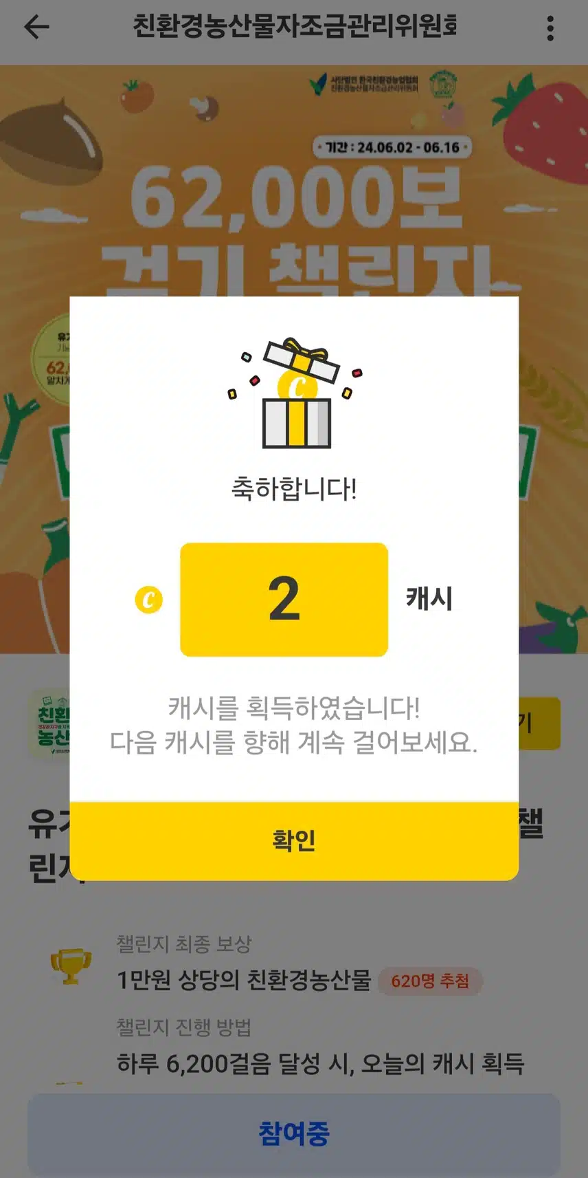 팀워크 친환경 6200보 캐시