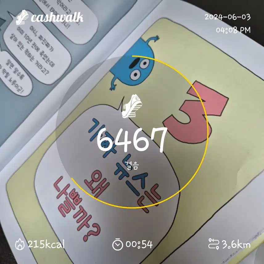 걷기인증