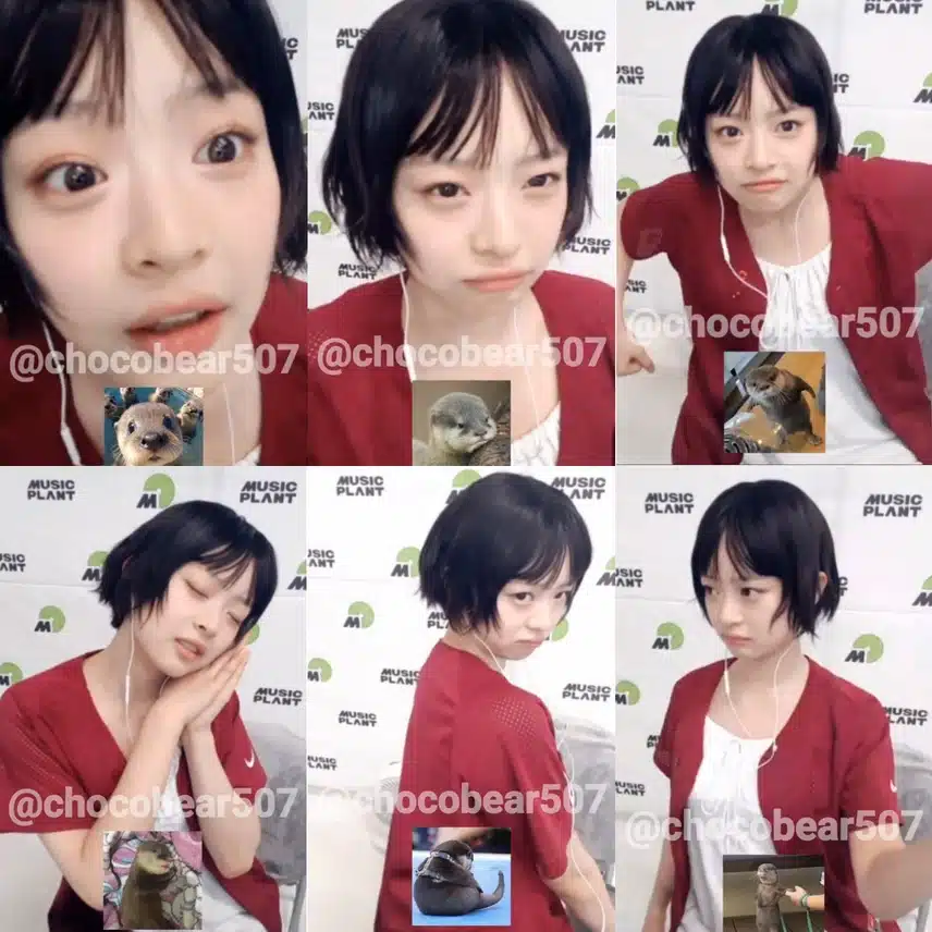 팜하니 진짜 수달이 인간 흉내내는거 아님?ㅋㅋ