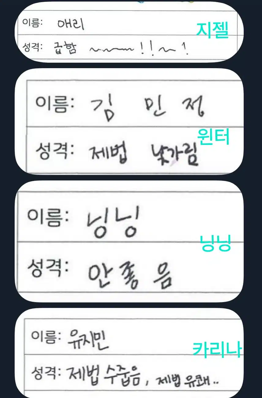 에스파가 직접쓴 본인 성격ㅋㅋ