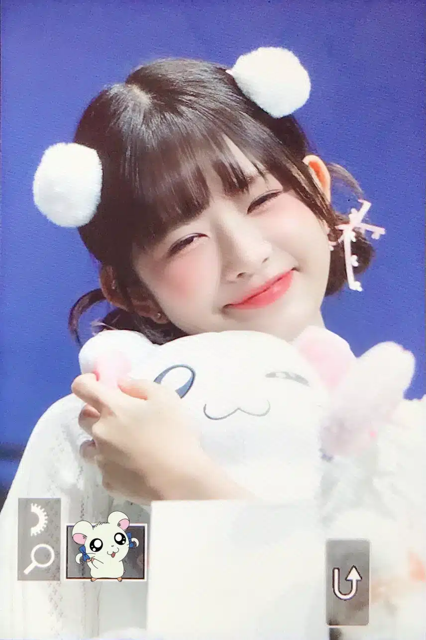 🐹Pita Hamtori Ray🐹