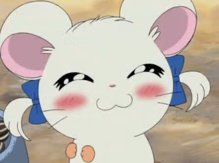 🐹Pita Hamtori Ray🐹
