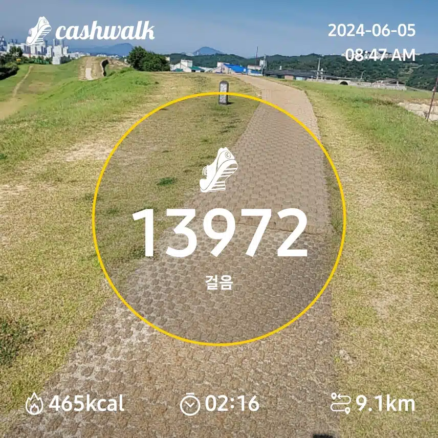 Morning walk 