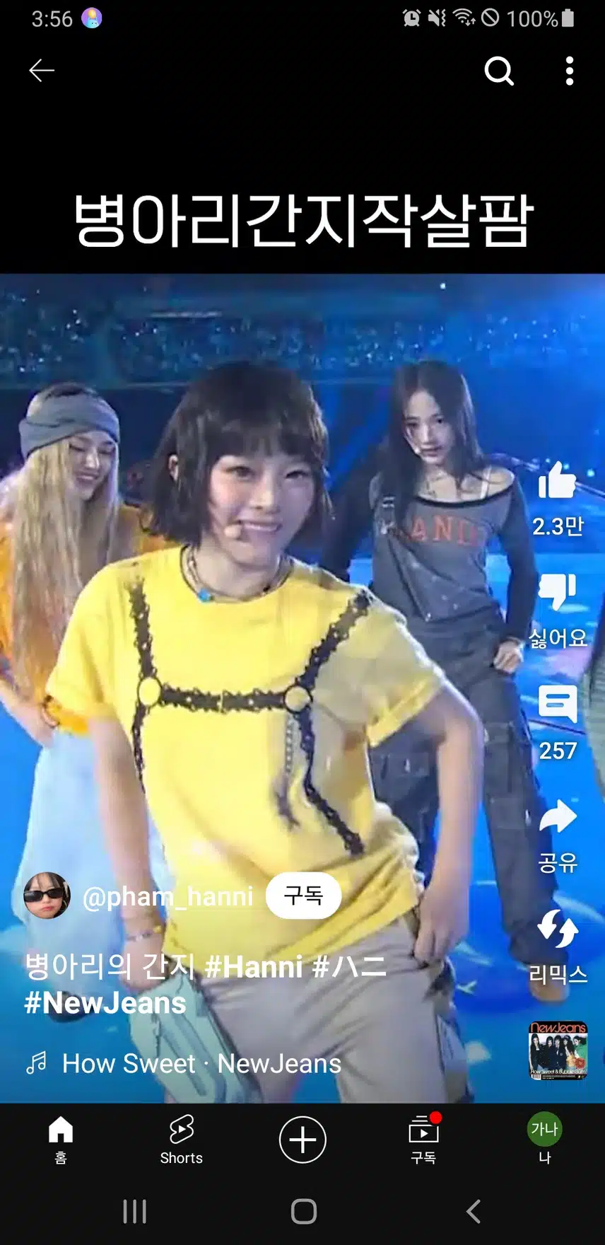 병아리처럼 귀여운 팜하니