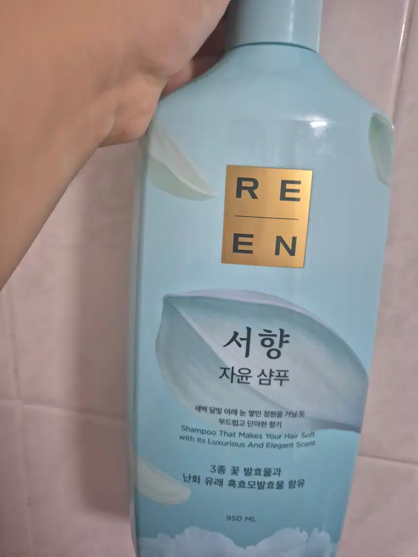 리엔