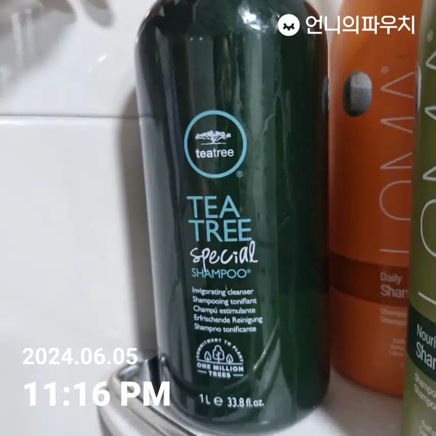 티트리샴프 