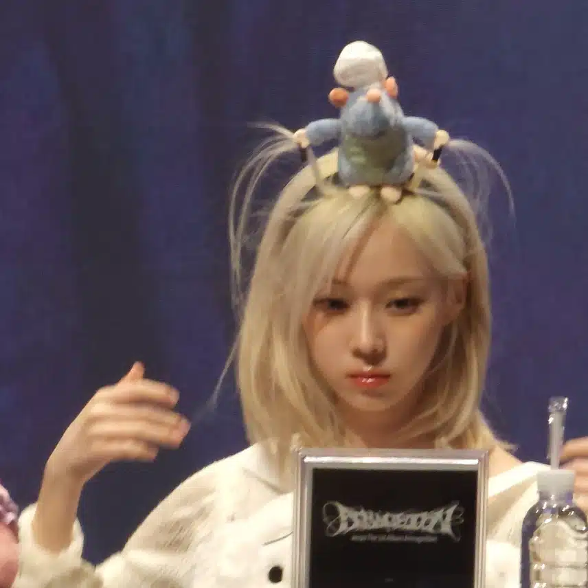 윈터 라따뚜이