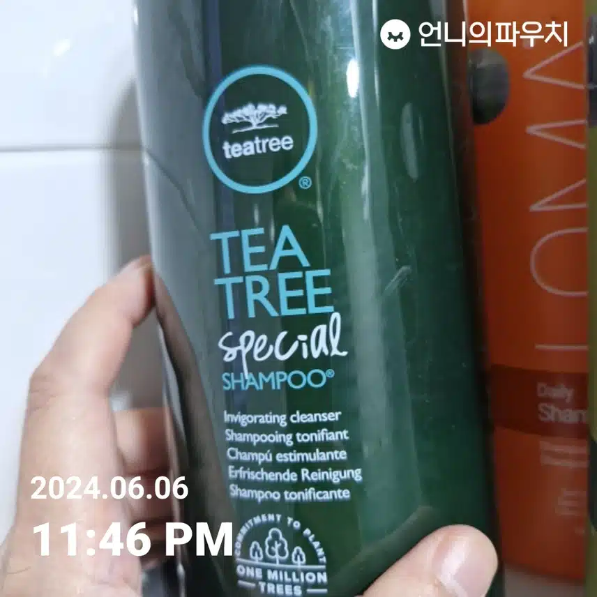티트리샴프 