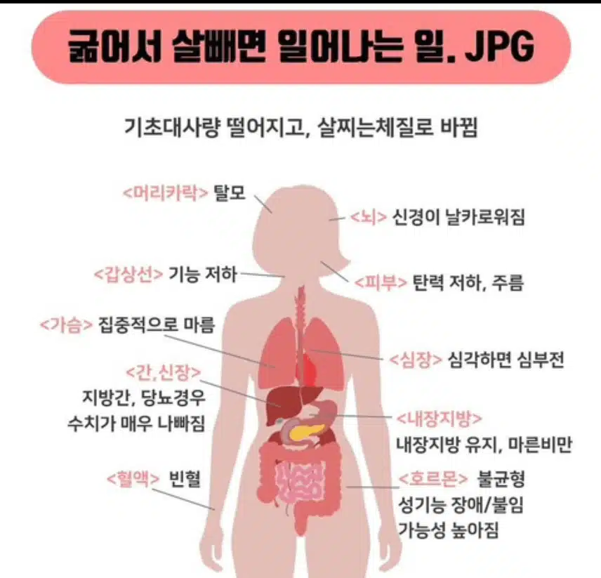 충격! 굶어서 살 빼면 생기는 일 