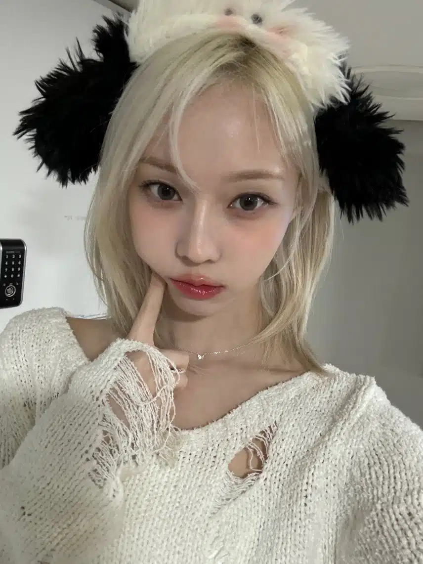 말랑 볼살 말티즈 윈터🐶🩷