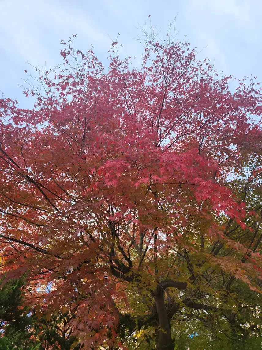 잠깐 산책하며 