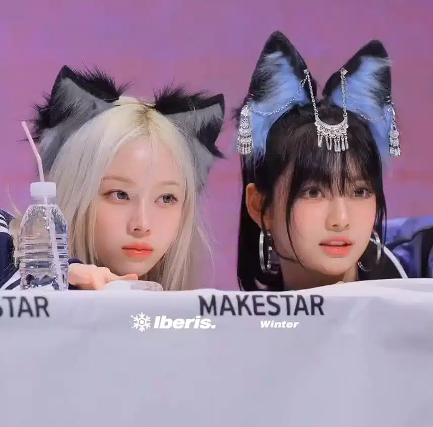 고양이와 여우 밍밍즈🐱🦊
