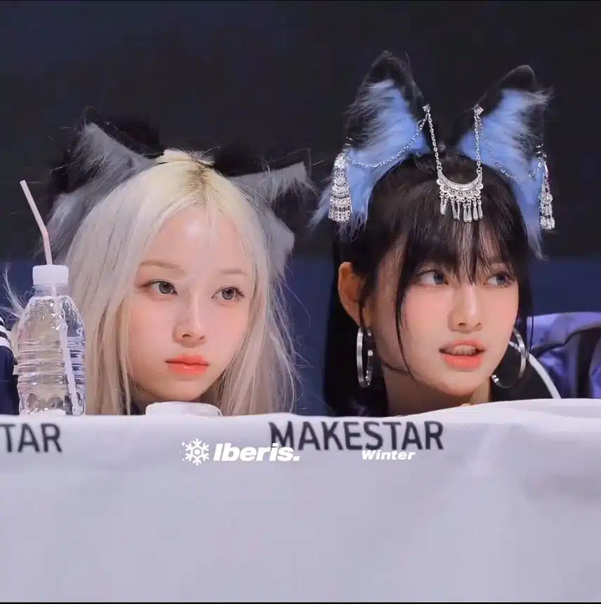 고양이와 여우 밍밍즈🐱🦊