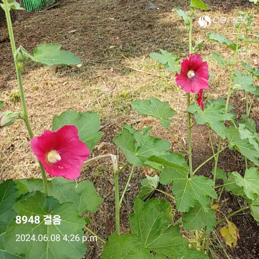 지육챌 23기 3일차 인증