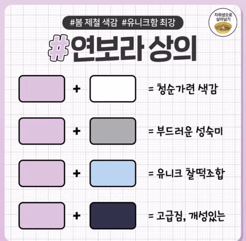 연보라 상의 코디