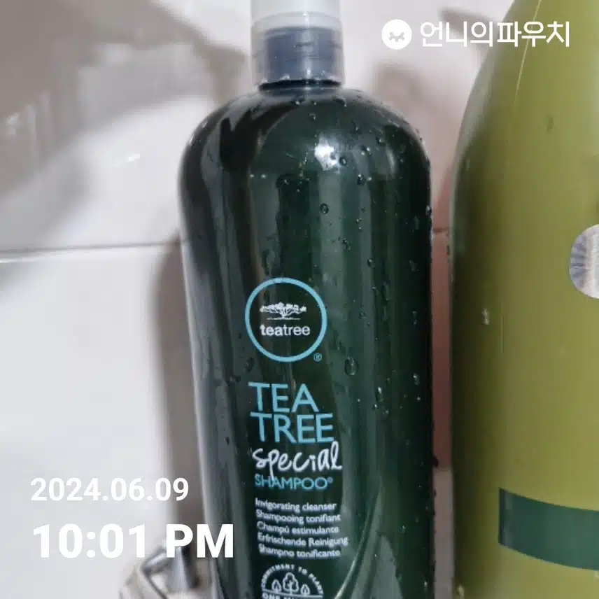 티트리샴프 