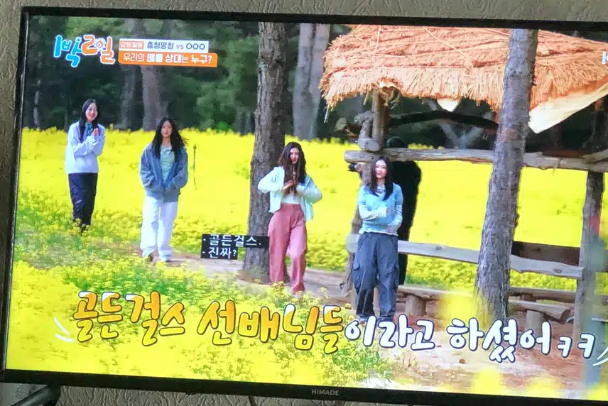 1박 2일에 나온 뉴진스~~ 